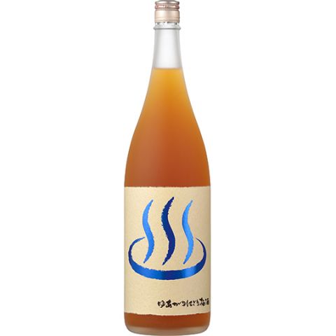 KINOENE NIHONSYUJIKOMI YUAGARI UMESYU 甲子ゆあがりにオススメの濃厚梅酒 720ml